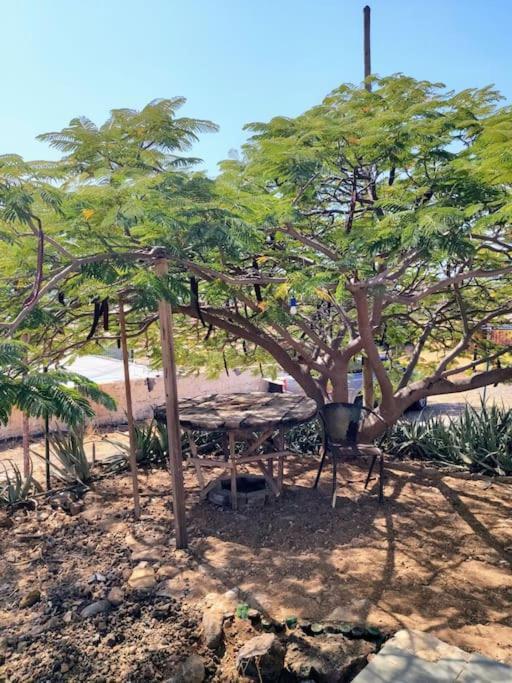 Casa Aloe Vera - Private House W/ Free Breakfast Cidade Velha Luaran gambar